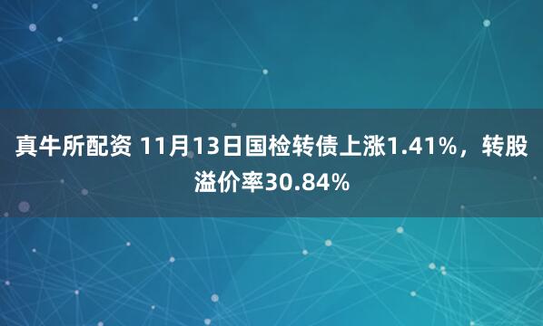 真牛所配资 11月13日国检转债上涨1.41%，转股溢价率30.84%