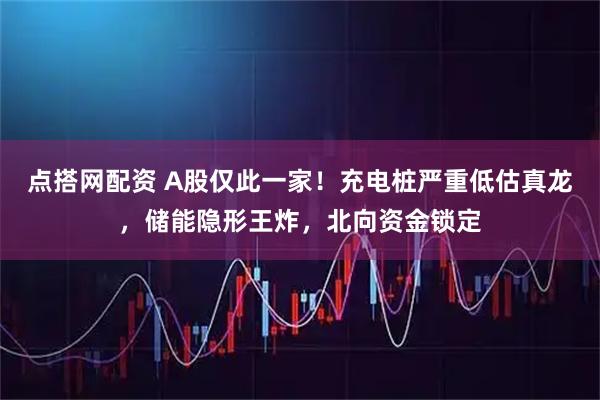 点搭网配资 A股仅此一家！充电桩严重低估真龙，储能隐形王炸，北向资金锁定